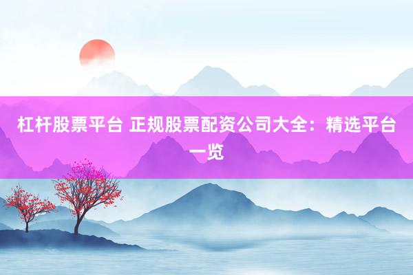 杠杆股票平台 正规股票配资公司大全：精选平台一览